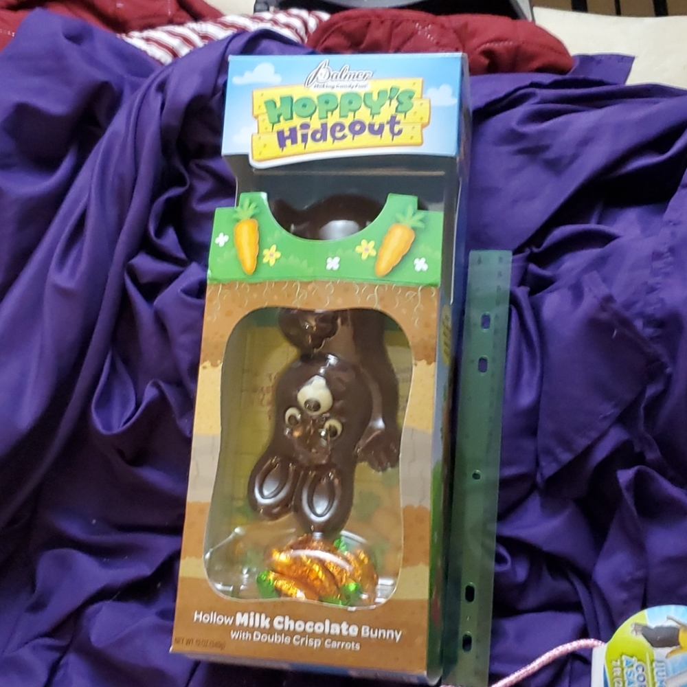 Adorable They changed way bunnies since time have